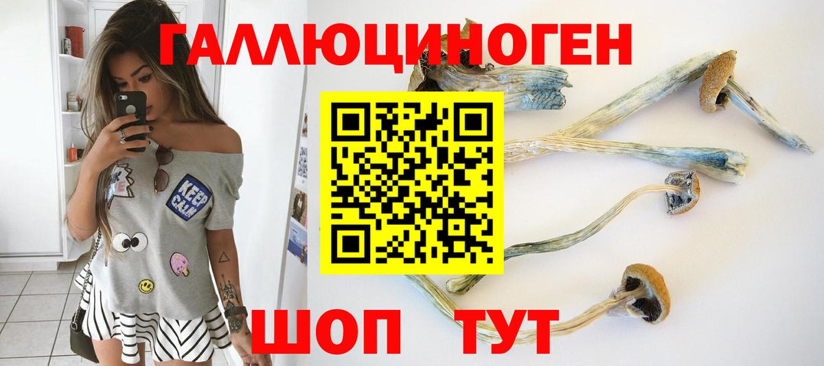 Псилоцибиновые грибы Magic Shrooms  Вход с VPN  Артёмовский 