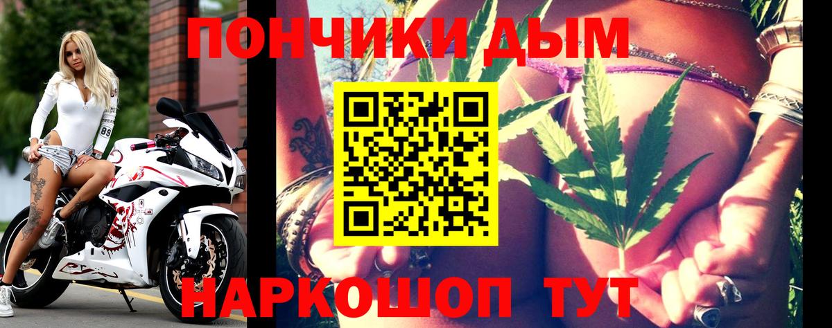 Бошки Шишки планчик Артёмовский